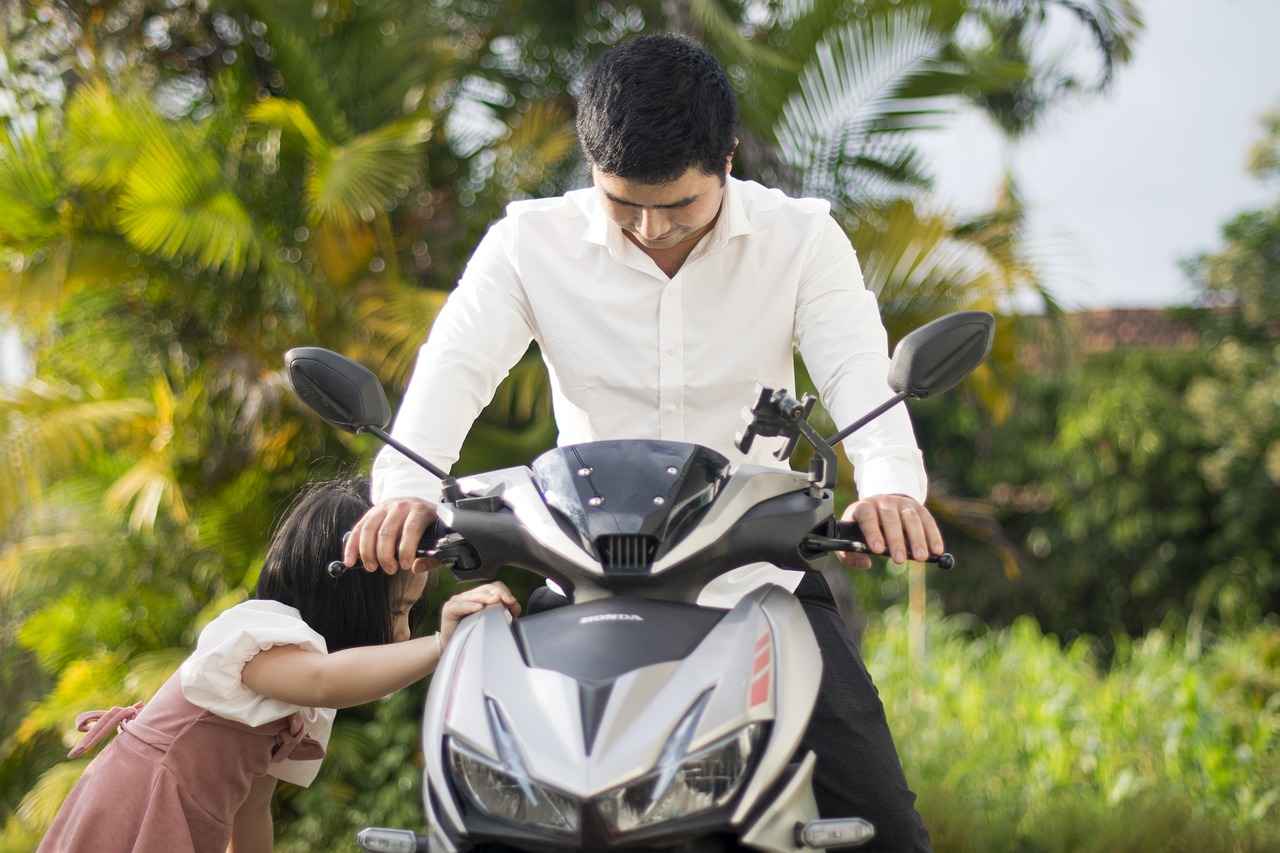 Overview of the 1993 Honda Civic Models