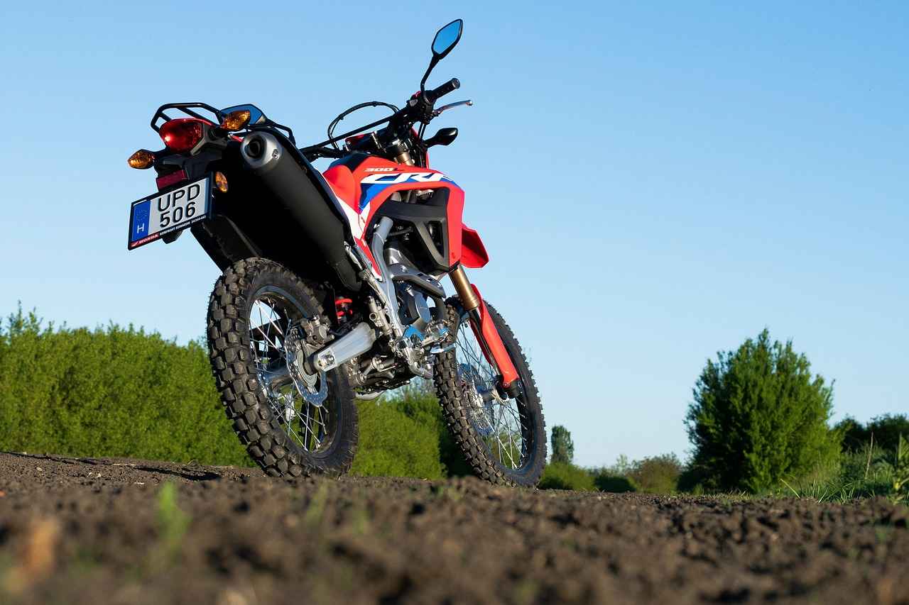 Exploring Certified Pre-Owned Options