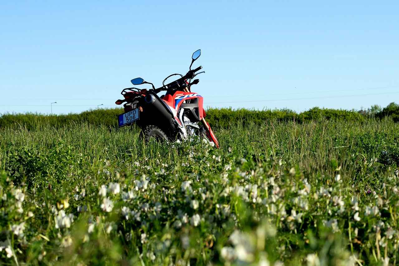 Understanding Honda Civic Models