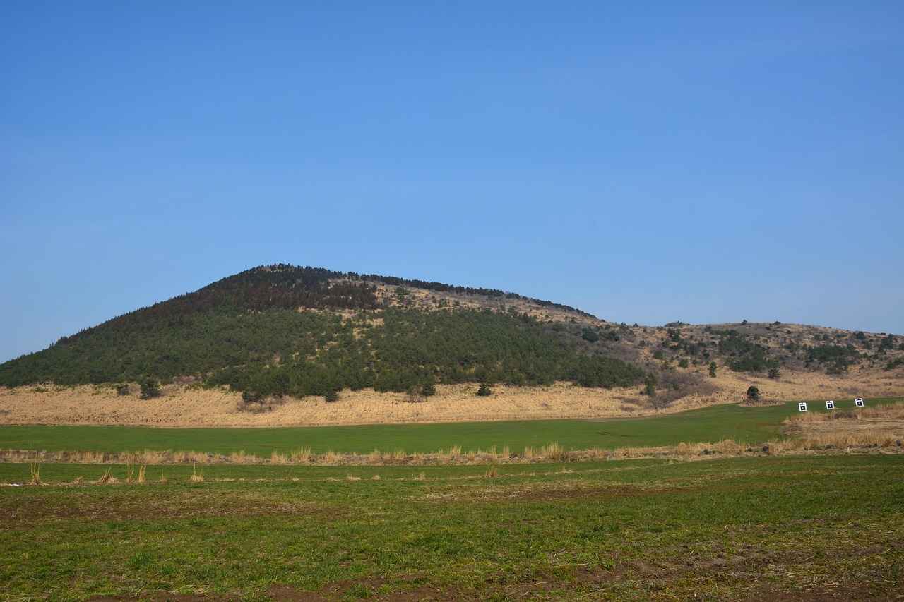 Safety Ratings and Features