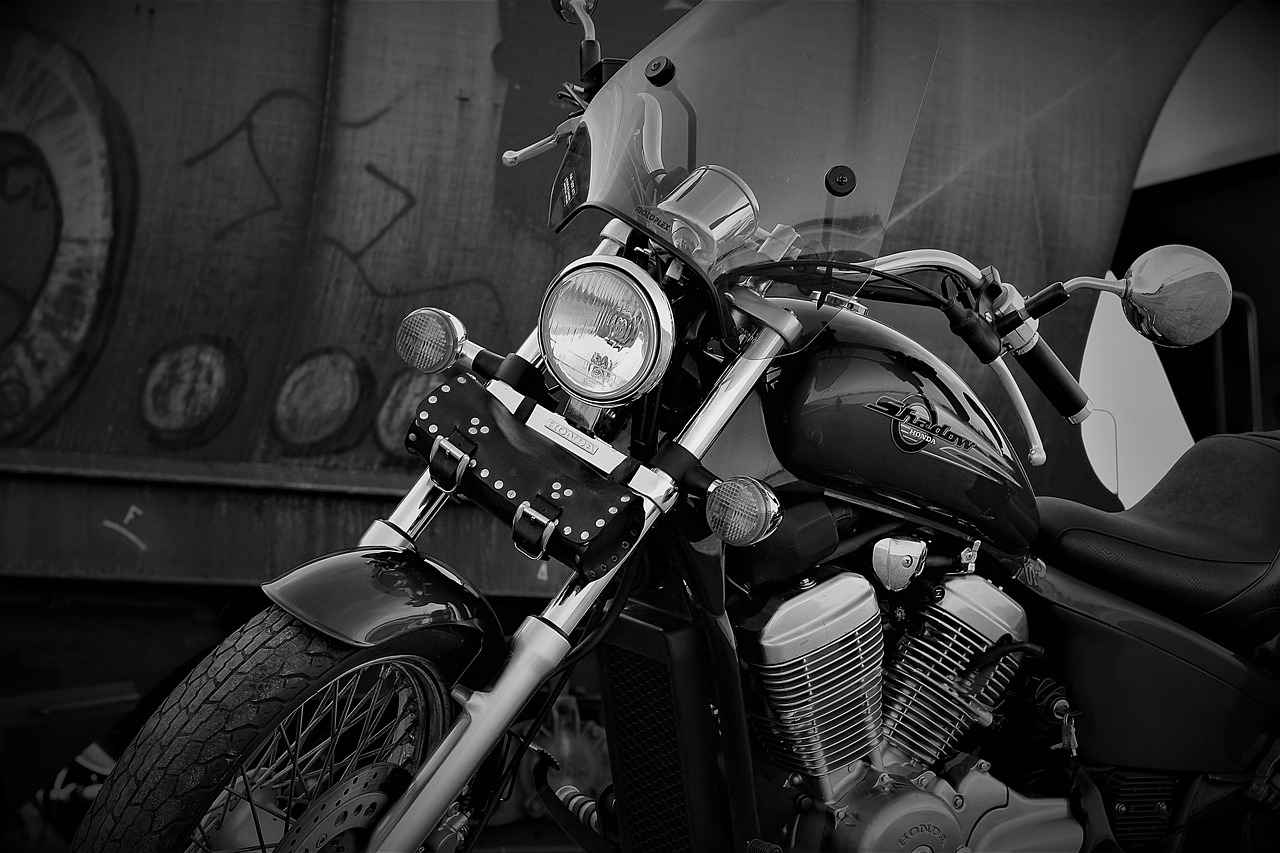 Customer Reviews and Feedback