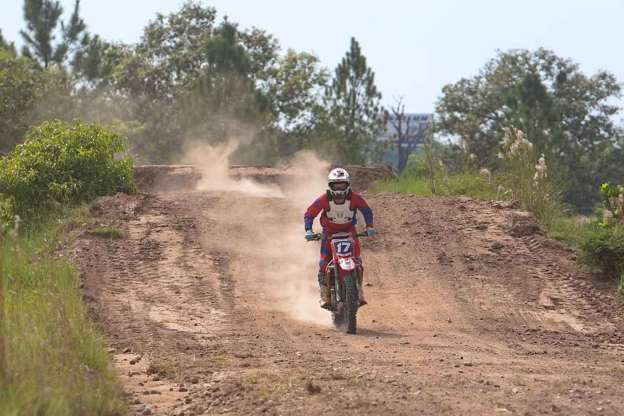 Performance Specifications of the 2019 Honda Civic Type R