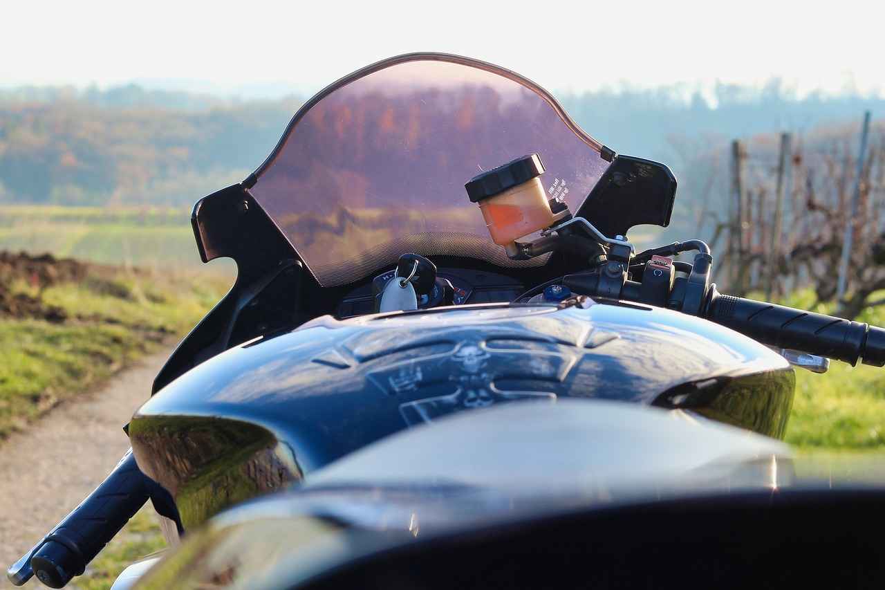 Exterior Design and Aesthetics