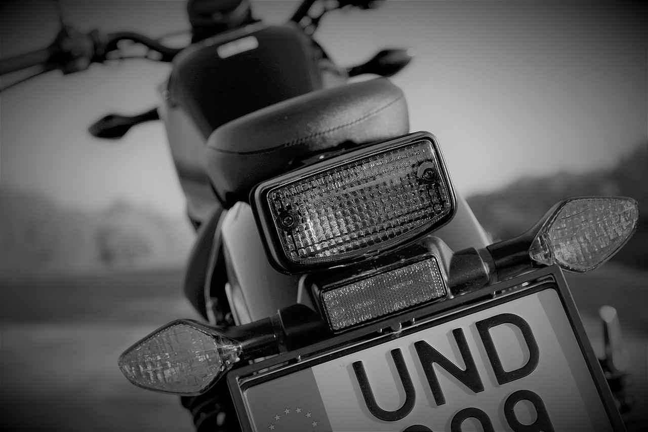 Stylish Design and Versatility